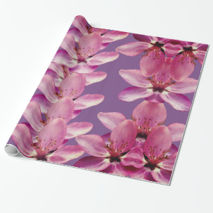 Papier cadeau Fleurs de ressort rose