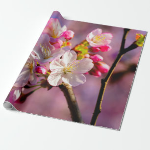 Papier Cadeau Fleurs De Sakura Fraîches Dans Le Jardin