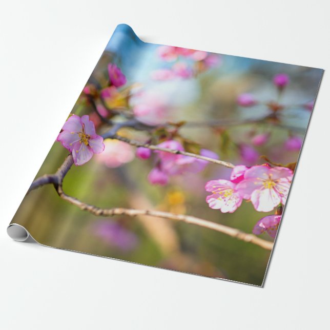 Papier Cadeau Fleurs De Sakura Rose Artistique Dans Le Jardin De (Déroulé)