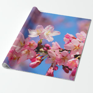 Papier Cadeau Fleurs de Sakura rose délicates