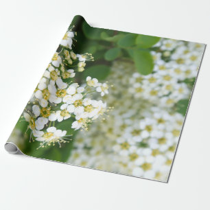 Papier Cadeau Fleurs, Plante blanc, Paysage pittoresque,