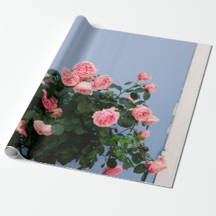 Papier Cadeau Fleurs rouges avec feuilles verts sur mur bleu