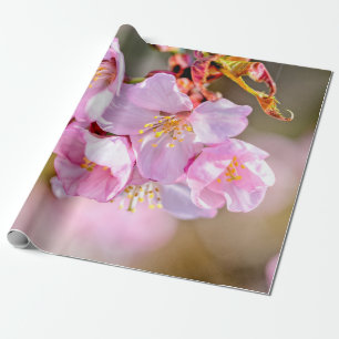 Papier Cadeau Fleurs Sakura Cool Et Charmantes