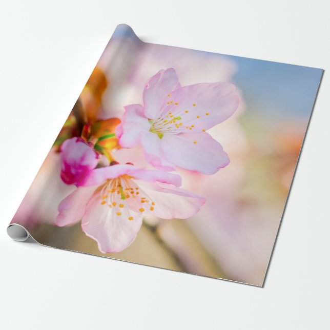 Papier Cadeau Fleurs Sakura Roses. Le Triomphe De La Vie (Déroulé)