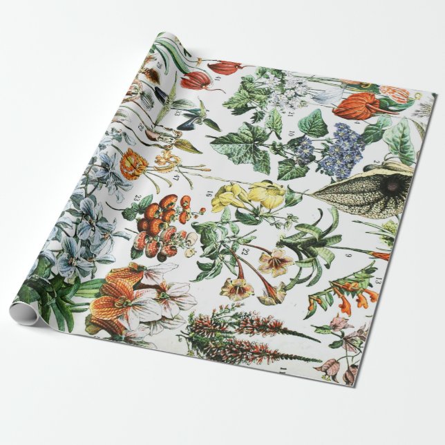 Papier Cadeau Fleurs vintages (Déroulé)