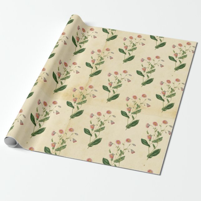 Papier Cadeau Floral vintage (Déroulé)