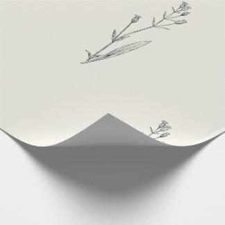 Papier Cadeau Flore Vintage minimale élégante