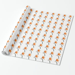 Papier Cadeau Flower tropical orange paradise
