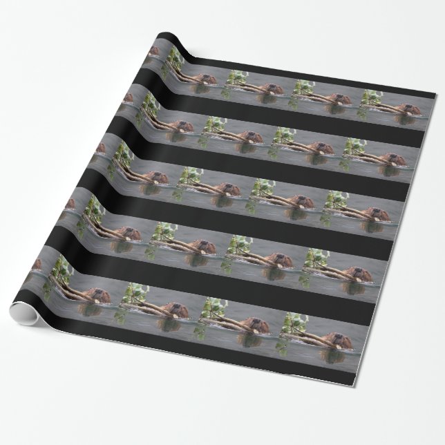 Papier Cadeau Fonctionnement de castor (Déroulé)