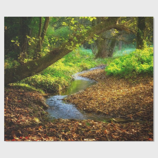 Papier Cadeau Forest Creek Belle nature Paysage Photo (Plat)