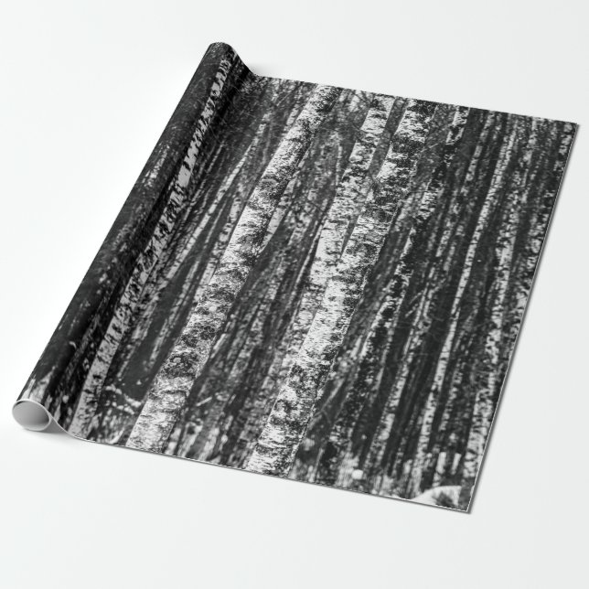 Papier Cadeau Forêt abstraite noire et blanche de bouleau (Déroulé)