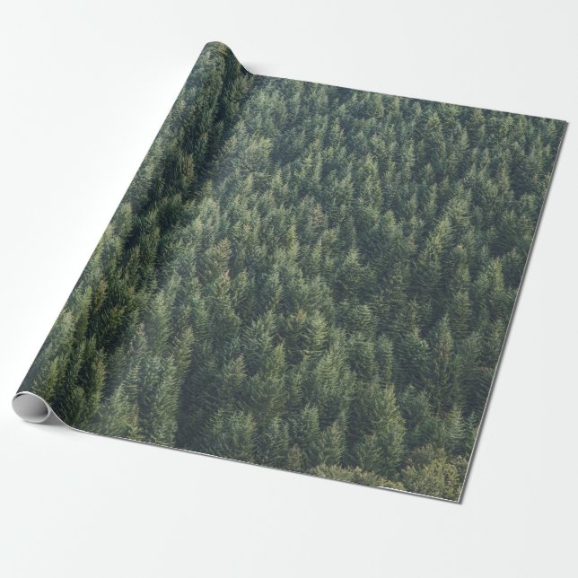 PAPIER CADEAU FORÊT D'ARBRE DE PINS (Déroulé)