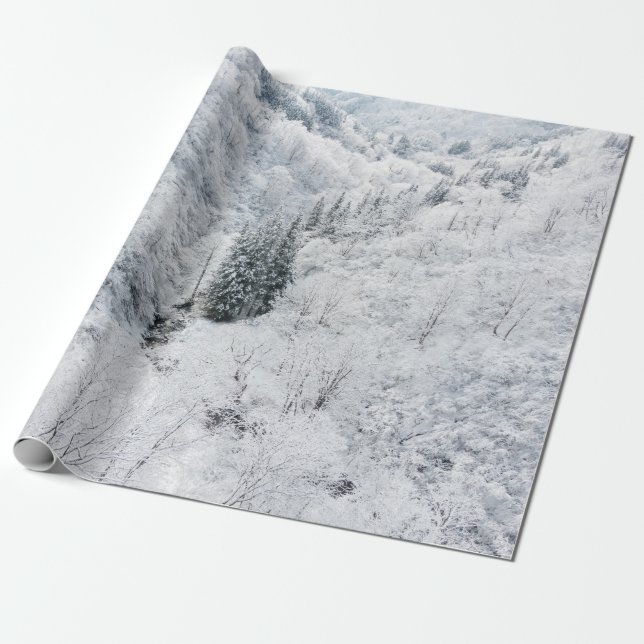 Papier Cadeau Forêt d'hiver (Déroulé)