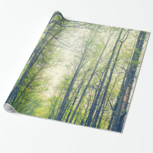 Papier Cadeau Forêt mystique