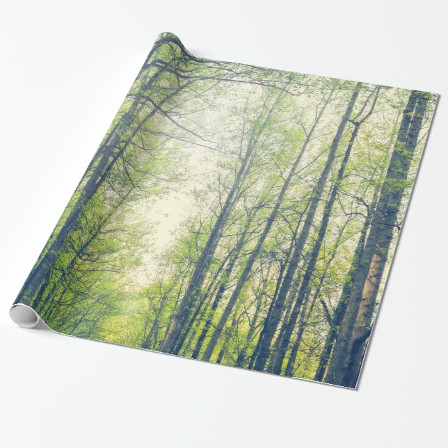 Papier Cadeau Forêt mystique (Déroulé)