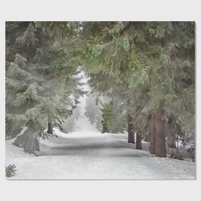 Papier Cadeau Forêt Route Pins de Neige Photo (Plat)