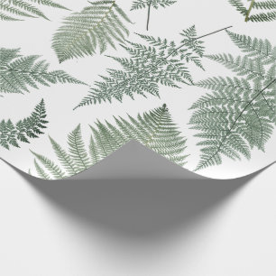 Papier Cadeau Forêts de fougères Vintages verdure Botanique
