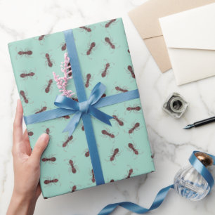Papier Cadeau Fourmis Marron Illustrées sur Fond Turquoise Clair