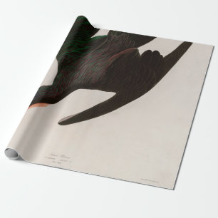 Papier Cadeau Frigate Pelican Birds of America Audubon Imprimer