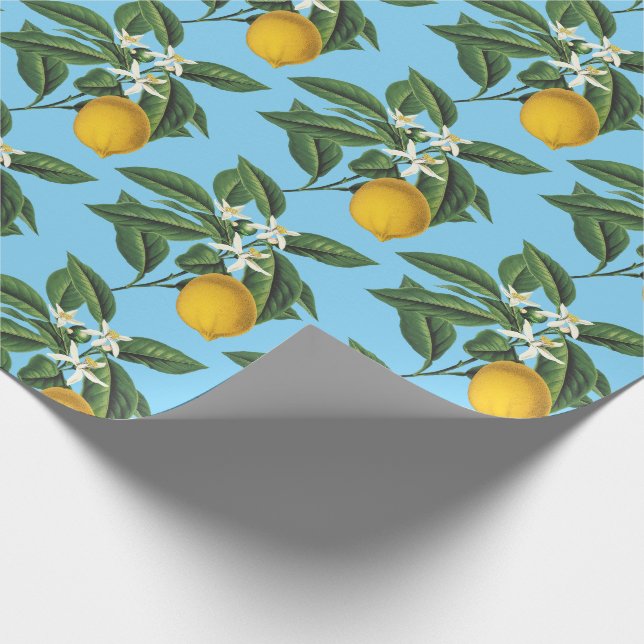 Papier Cadeau Fruit vintage de citron bleu fleur de fleur (Coin)
