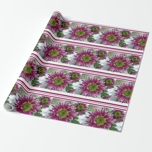 Papier Cadeau Fuchsia Pink Chrysanthemums Collage papier (Déroulé)