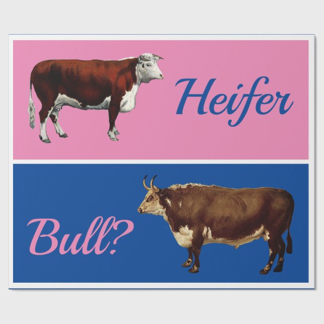 Papier Cadeau Fun Heifer ou Bull Genre Révéler avec le bétail (Plat)