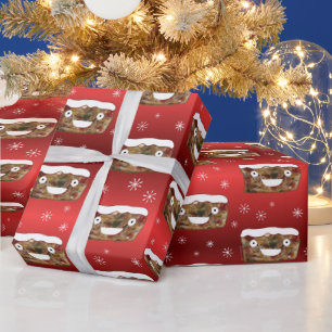 Papier Cadeau Funky Noël Fruitcake Motif Rouge