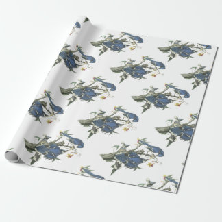 Papier Cadeau Geai bleu par Audubon