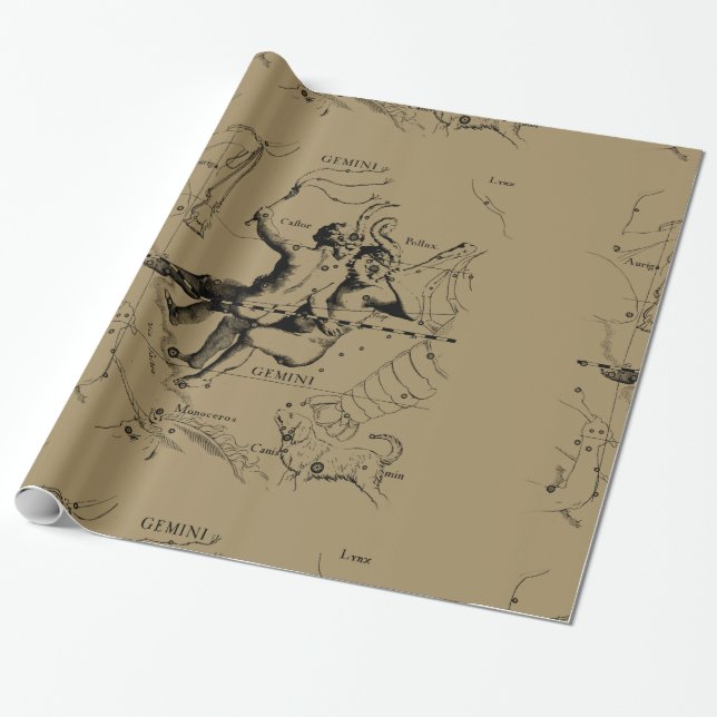 Papier Cadeau Gemini Constellation Zodiac Hevelius 1690 (Déroulé)