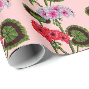Papier Cadeau géraniums