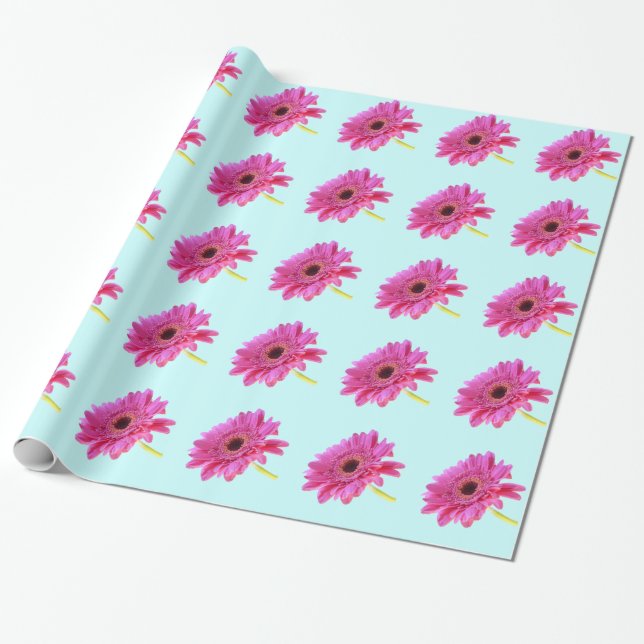Papier Cadeau Gerbera Daisy rose sur Arrière - plan bleu (Déroulé)