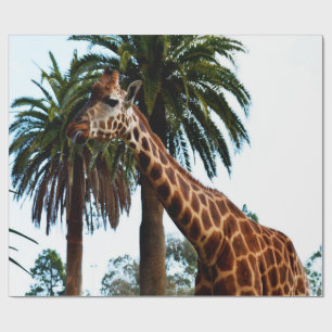 Papier Cadeau Giraffe Drôle Qui Donne Une Framboise,