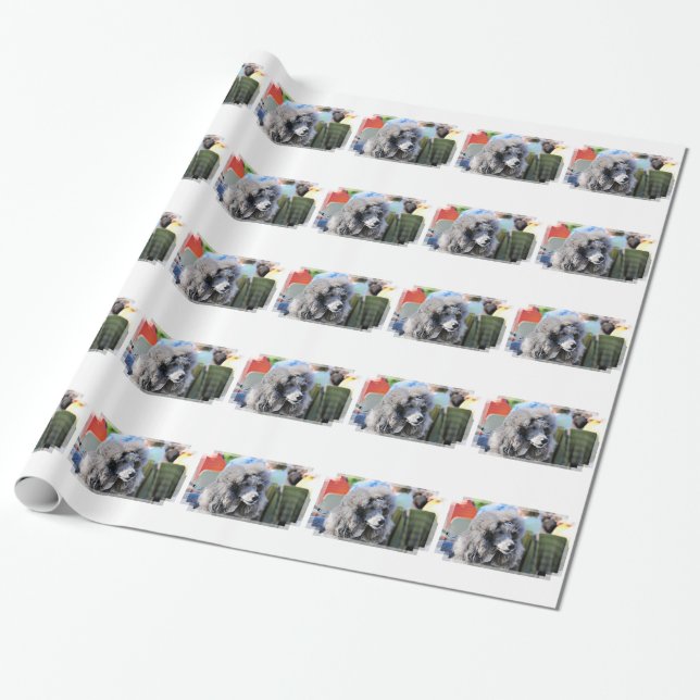 Papier Cadeau Goldberg - Chanel - caniche standard (Déroulé)