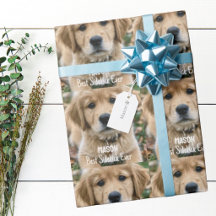 Golden Retriever Animalerie Photo de Compagnon Per
