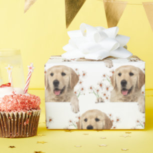 Papier Cadeau Golden Retriever Et Daisies