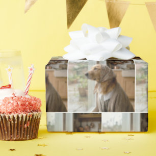 Papier Cadeau Golden Retriever regardant la pluie
