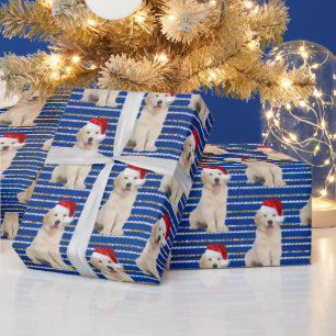 Papier Cadeau Golden Retriever sur les rayures de Parties scinti