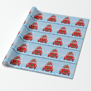 Papier Cadeau Grand Danois dans une voiture avec le Père Noël