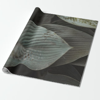 Papier Cadeau Grande feuille