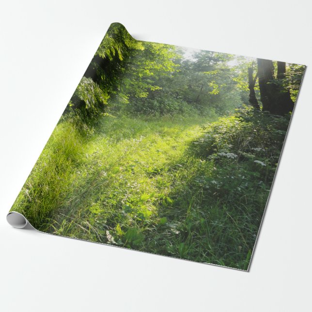 Papier Cadeau Green Forest Meadow (Déroulé)