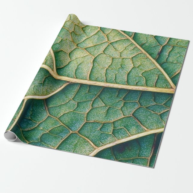 Papier Cadeau Green leaf (Déroulé)