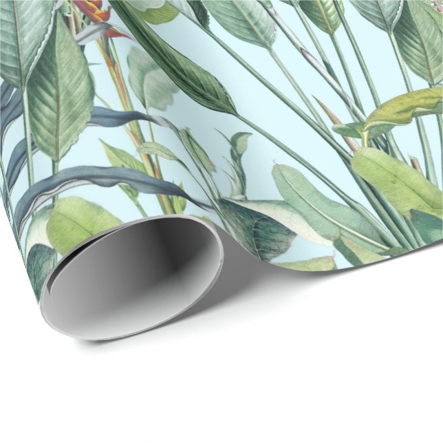 Papier Cadeau Green Tropical Jungle Banana Tree Strelitzia (Coin rond)