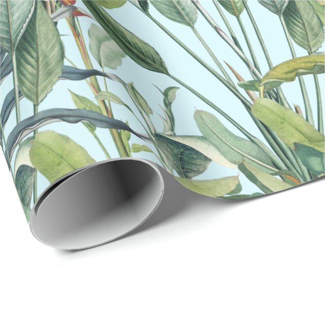 Papier Cadeau Green Tropical Jungle Banana Tree Strelitzia (Coin rond)