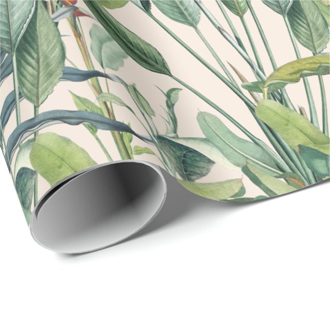 Papier Cadeau Green Tropical Jungle Banana Tree Strelitzia (Coin rond)