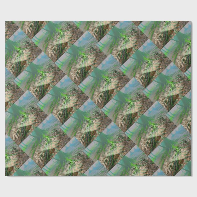 Papier Cadeau Grenouille (Plat)