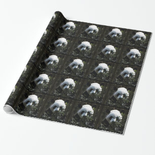 Papier Cadeau Gros Panda Mignon avec des feuilles de bambou savo