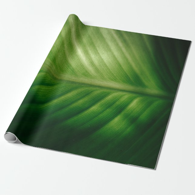 Papier Cadeau Gros plan des feuilles vertes (Déroulé)
