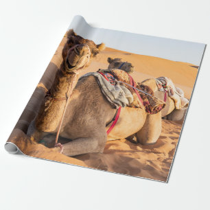 Papier Cadeau Gros plan sur Camel dans le désert d'Oman