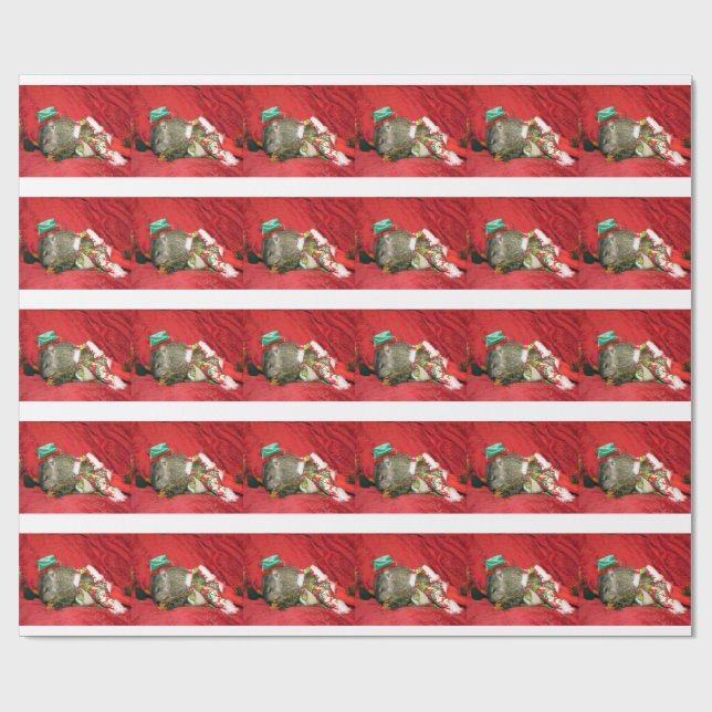 Papier Cadeau Groundhog Bessie et fanfaronnade Giftwrap (Plat)