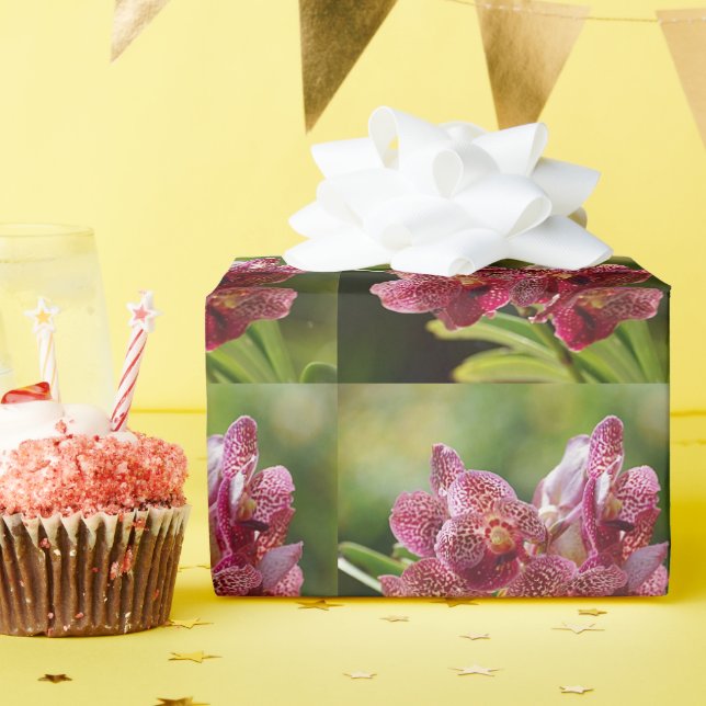 Papier Cadeau Groupe tropical d'orchidées de Vanda (Fête d'anniversaire)